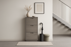 Niko Shoe Console
